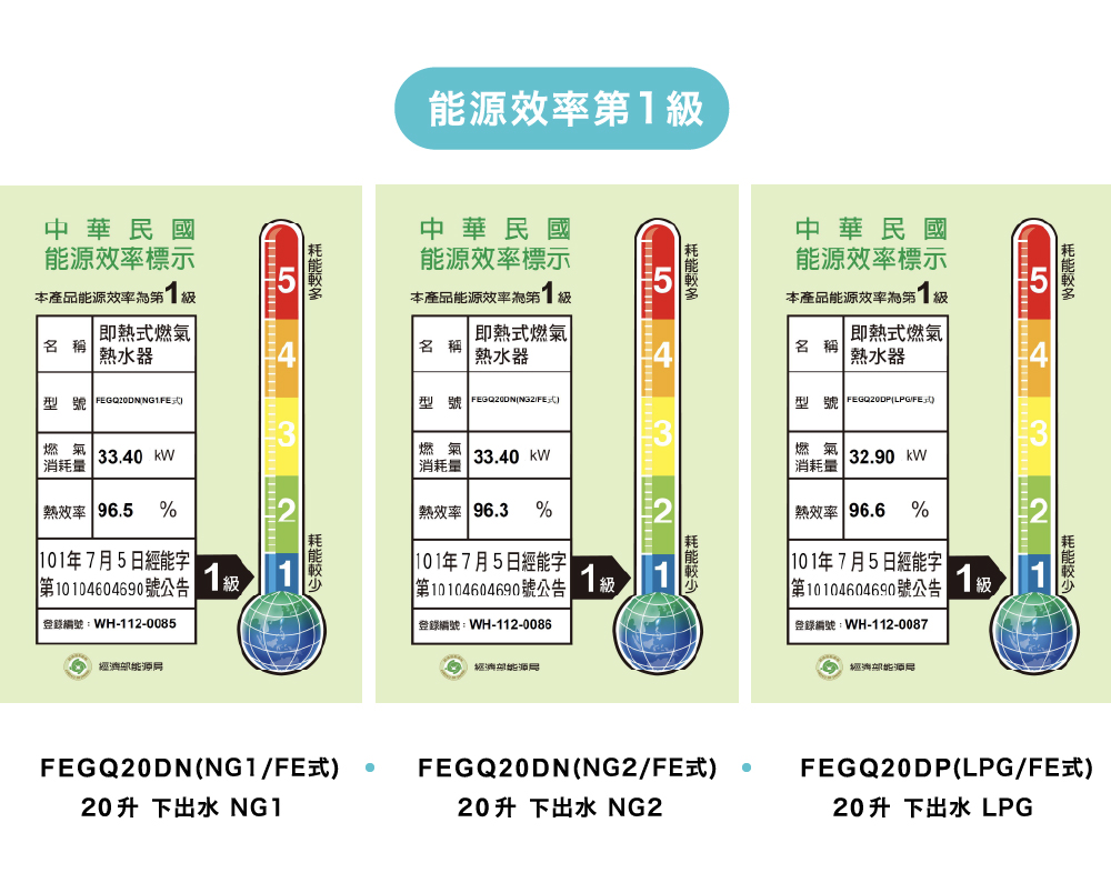 Dyhot 東湧 即熱式燃氣熱水器 一級能效 強排 FEGQ