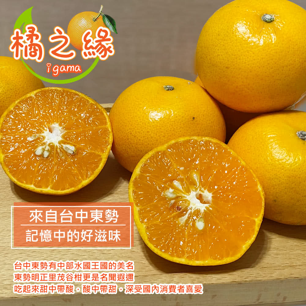 橘之緣 台中東勢23A茂谷柑10斤禮盒x1箱(約36~38顆