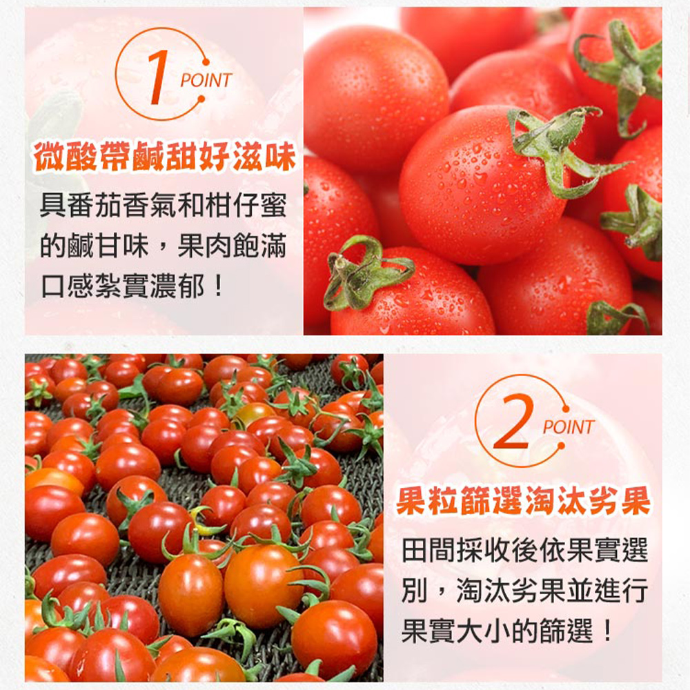 鮮食堂 台南鹽地番茄2箱(5斤/箱/微酸帶鹹)優惠推薦