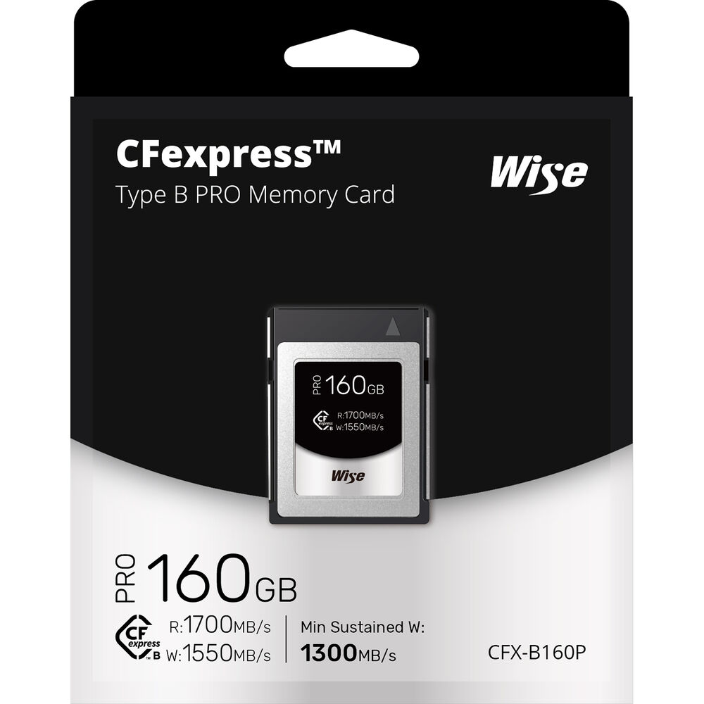 Wise裕拓 160G 160GB 1700MB/S CFe
