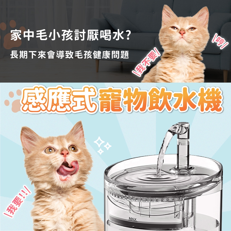 捕夢網 寵物自動飲水機 標準款(寵物飲水機 自動飲水機 貓咪