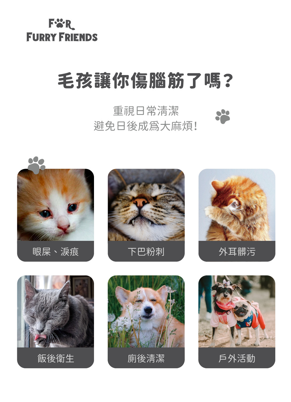 For Furry Friends 電解水寵物抗菌純棉濕巾6