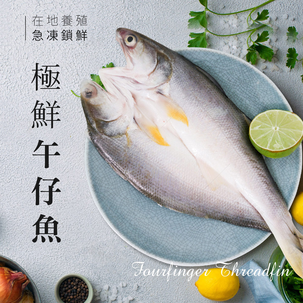 巧食家 台灣午仔魚X3尾(三去、真空 250g~300g/尾