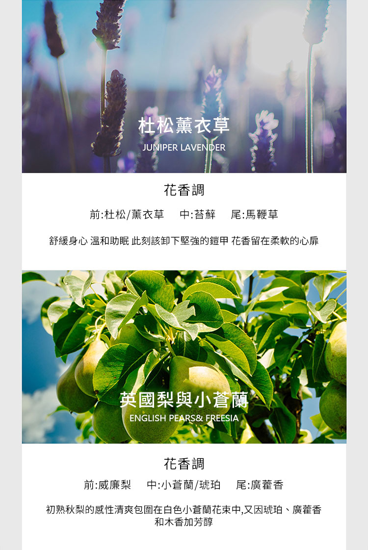 舒緩身心溫和助眠 此刻該卸下堅強的鎧甲 花香留在柔軟的心扉