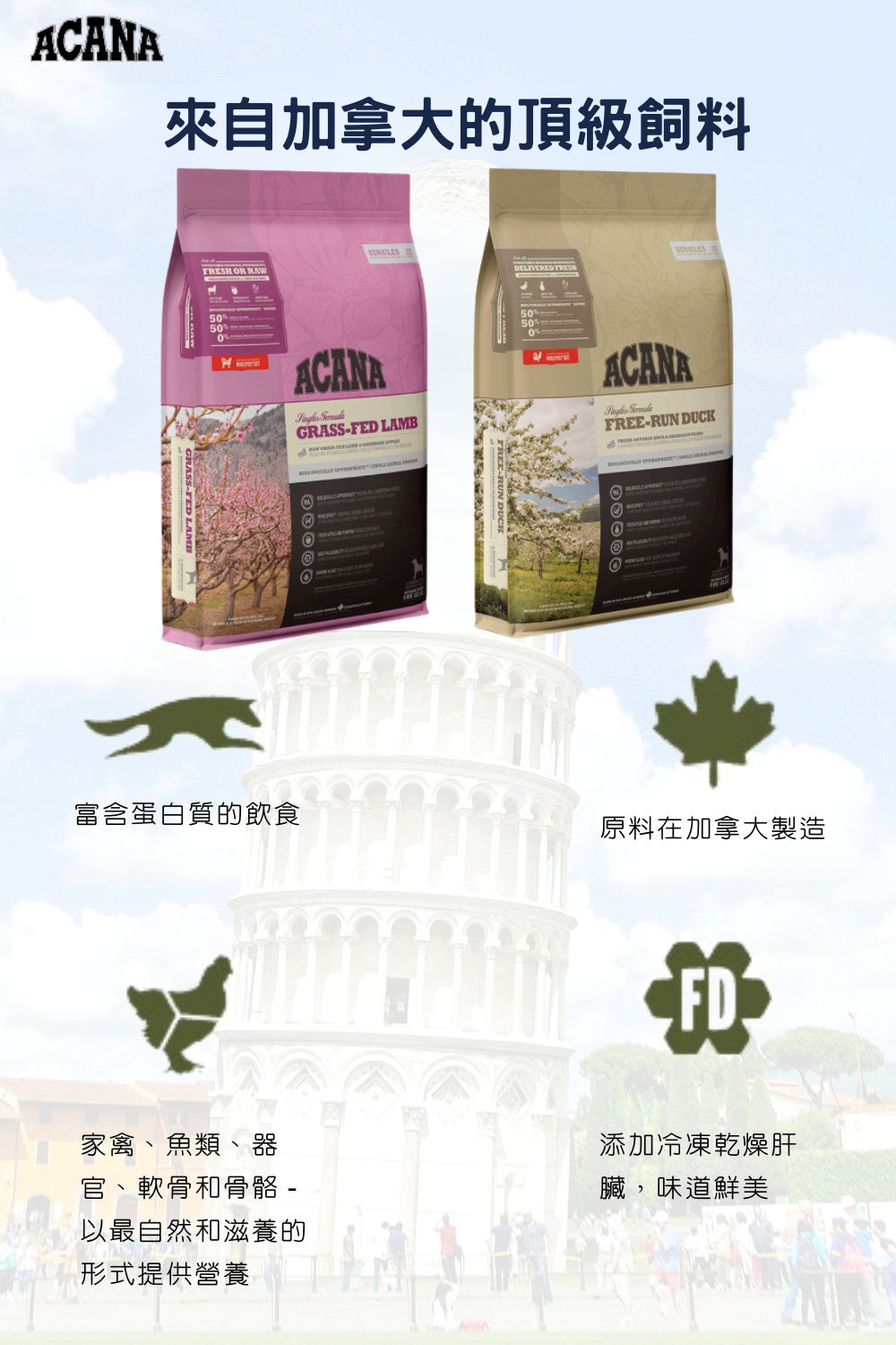 ACANA 無穀愛犬配方 單一蛋白 6kg 狗糧食(羊肉+蘋