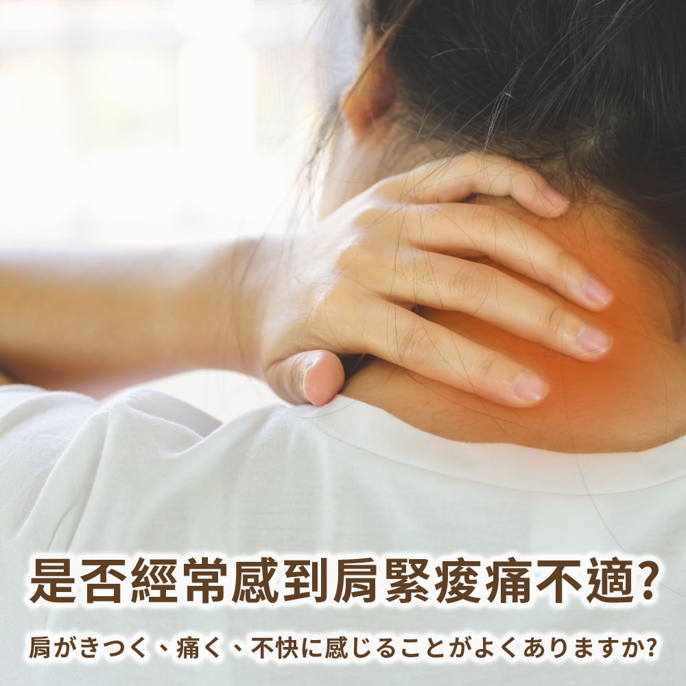 是否經常感到肩緊痠痛不適 肩、痛、不快感 