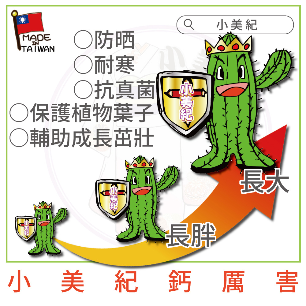 ä¿è­·æ¤ç©èå­