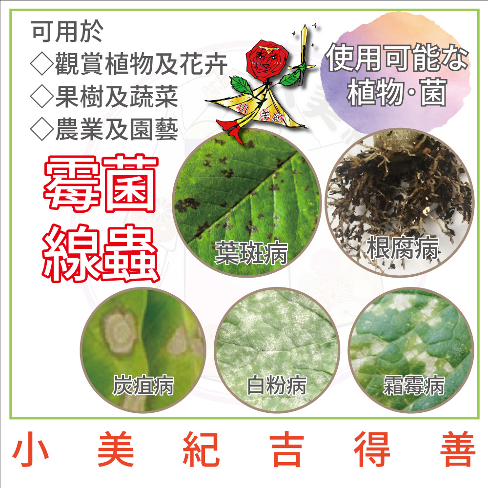 è§è³æ¤ç©åè±å