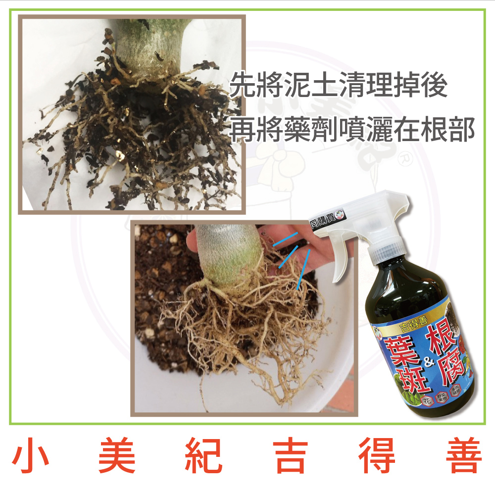 åå°æ³¥åæ¸çæå¾ åå°è¥åå´çå¨æ ¹é¨ åè³¼è²· å¯¶å¾å å°ç¾ç´åå¾å 
