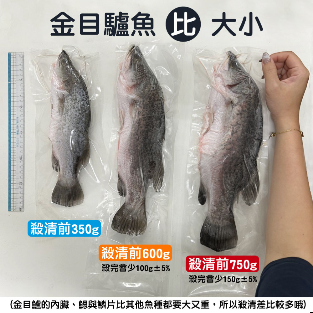 一手鮮貨 台灣生態養殖金目鱸魚(2尾組/單尾殺清前750g/