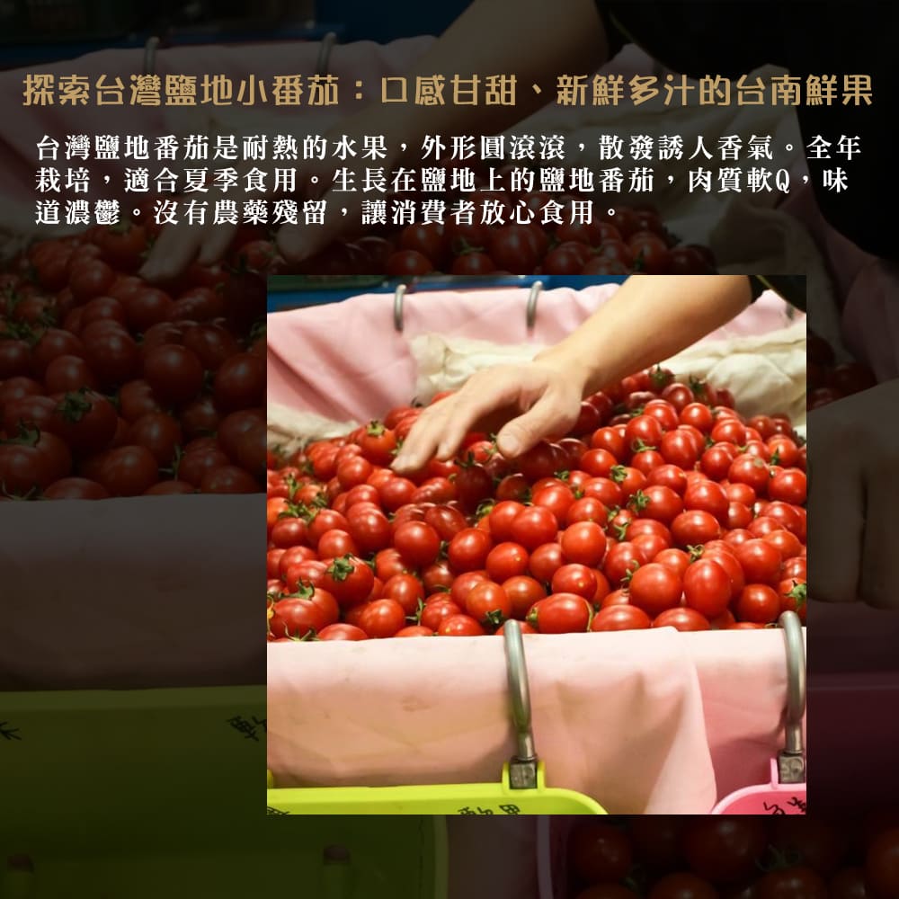 每日宅鮮 台灣鹽地番茄(600g±5% x4盒／箱 免運)折