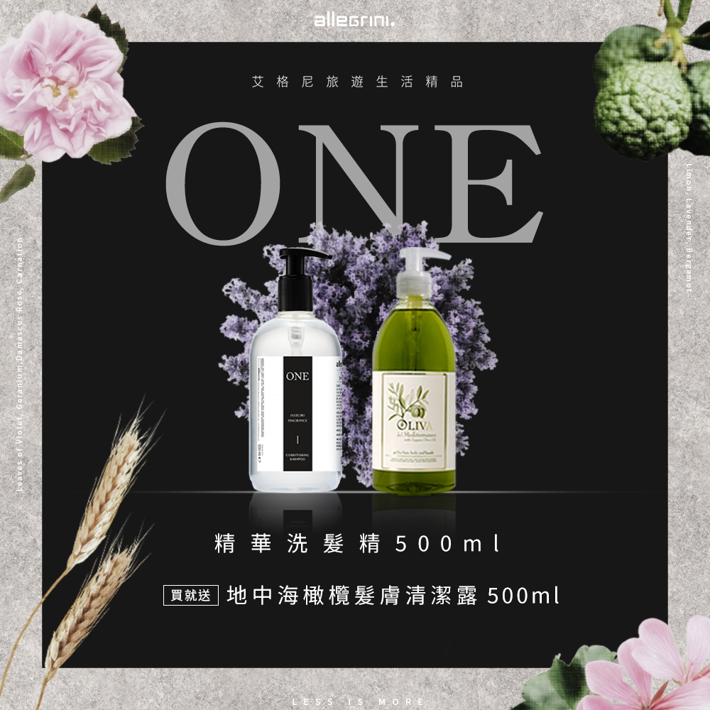 ALLEGRINI 艾格尼 ONE系列 精華洗髮精500ml