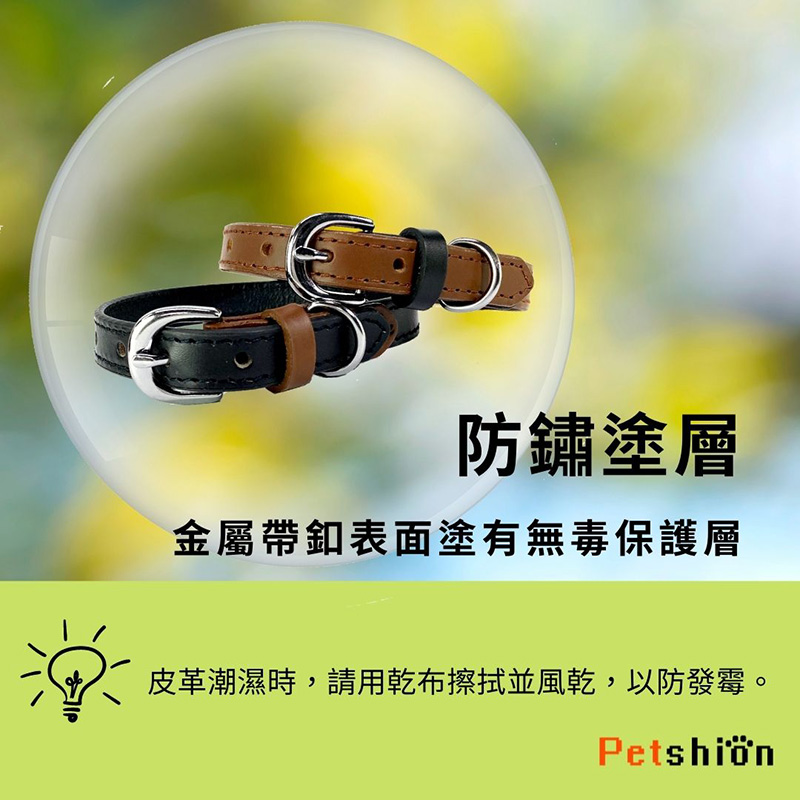 Petshion 真皮寵物項圈 狗項圈 皮革項圈 小狗項圈(