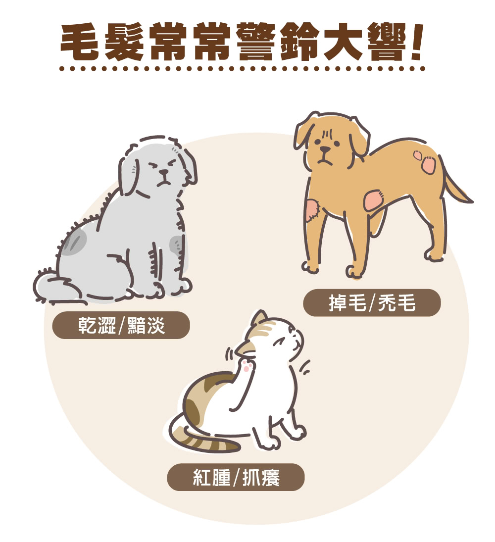 樂膚美 皮膚保健粉 雞肉風味(貓狗爆毛保健/ 貓狗皮膚保健/