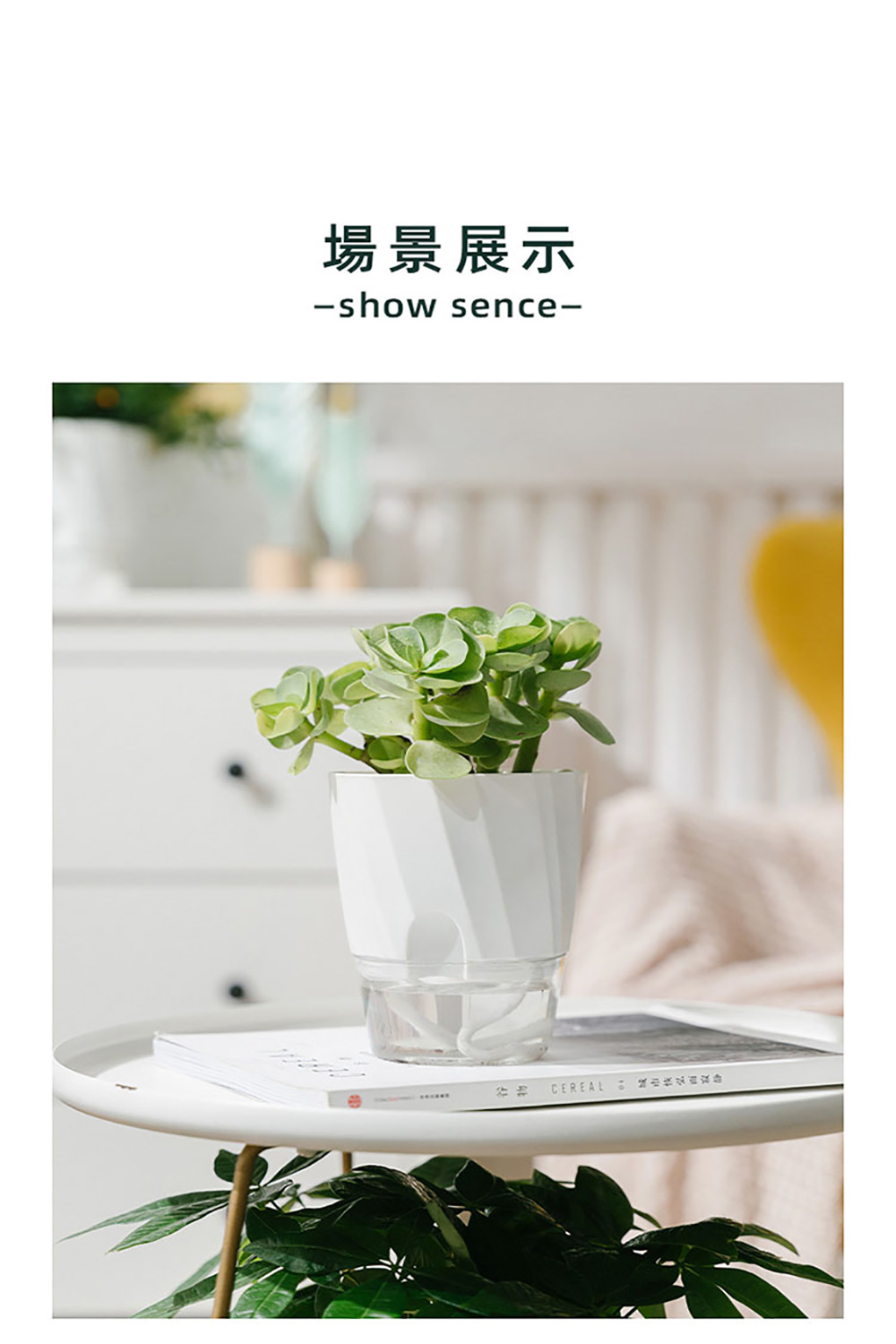 å ´æ¯å±ç¤º è°·ç© 0 åå¸æ¢å¼ç¾å¯é 