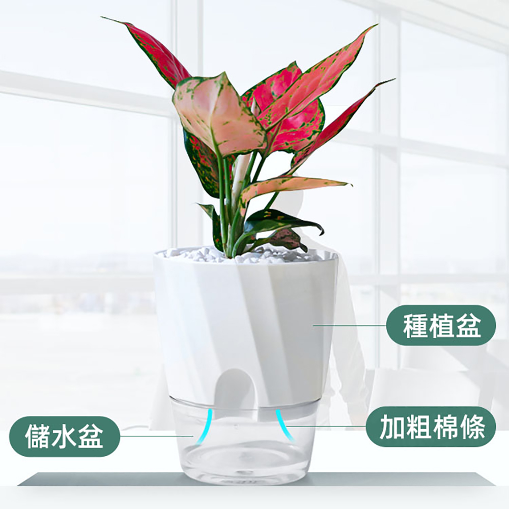 å²æ°´ç ç¨®æ¤ç å ç²æ£æ¢ 