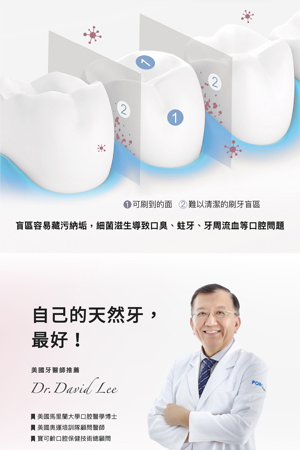 盲區容易藏污納垢,細菌滋生導致口臭、蛀牙、牙周流血等口腔問題