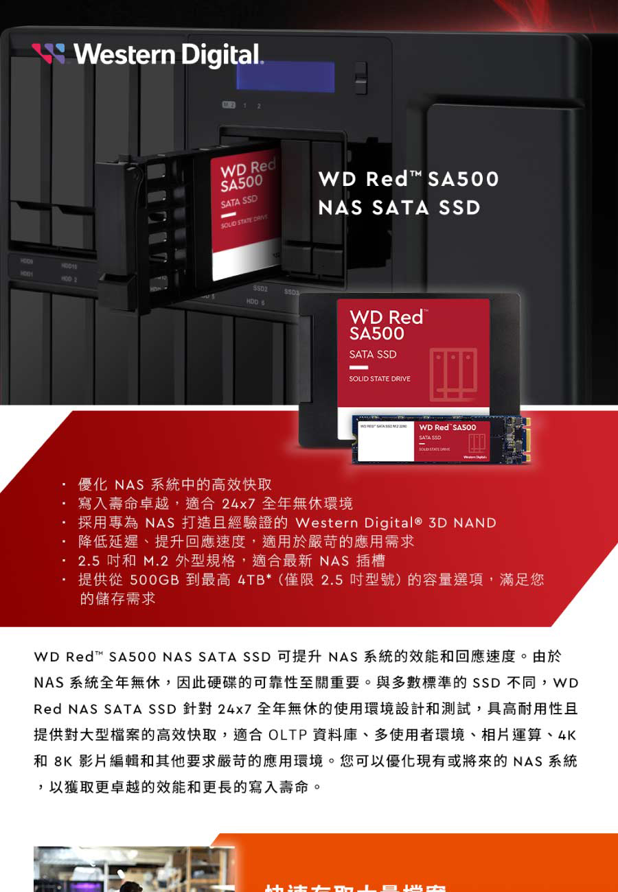 WD 威騰 WD Red紅標 SA500 NAS SATA 