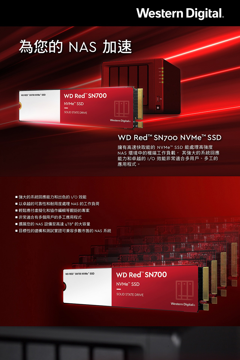 WD 威騰 WD Red紅標 SN700 NVMe SSD 