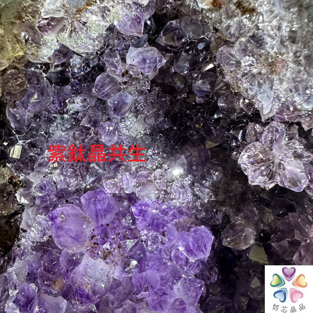 麫芯晶品 