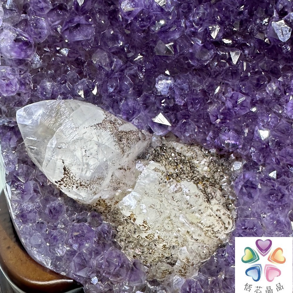 居芯晶時 