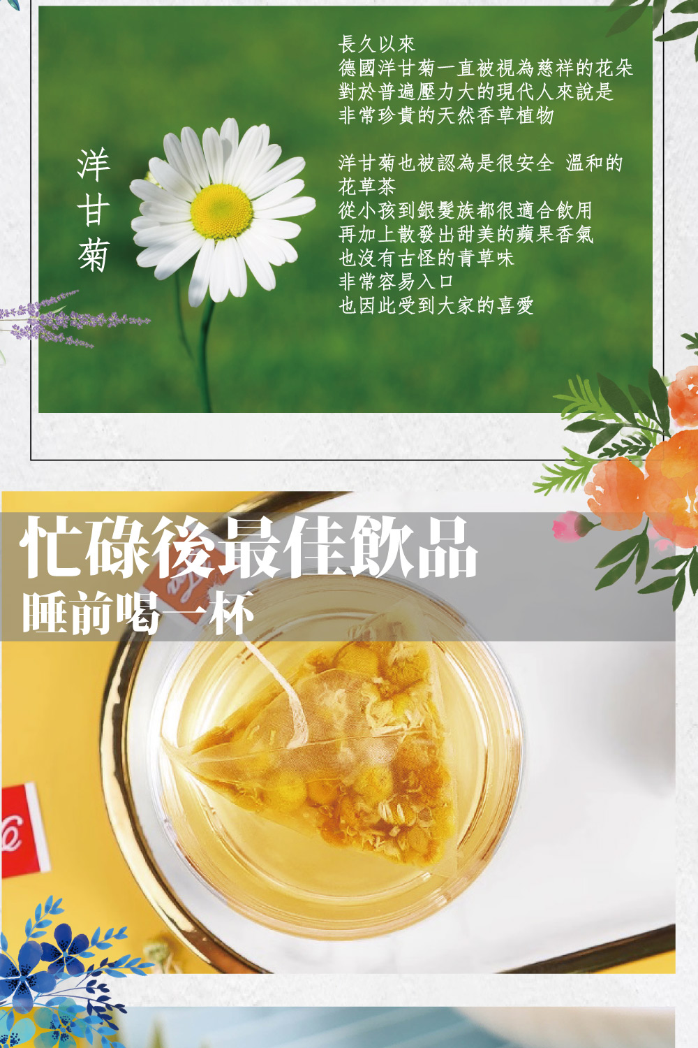 DING CAO 鼎草 洋甘菊花茶10入組-共2組(德國洋甘