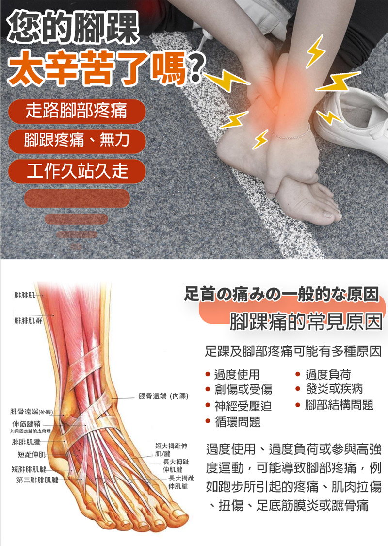 日本旭川 生命磁石墨烯遠紅外線 磁石護踝2入組(強力滲透/抗