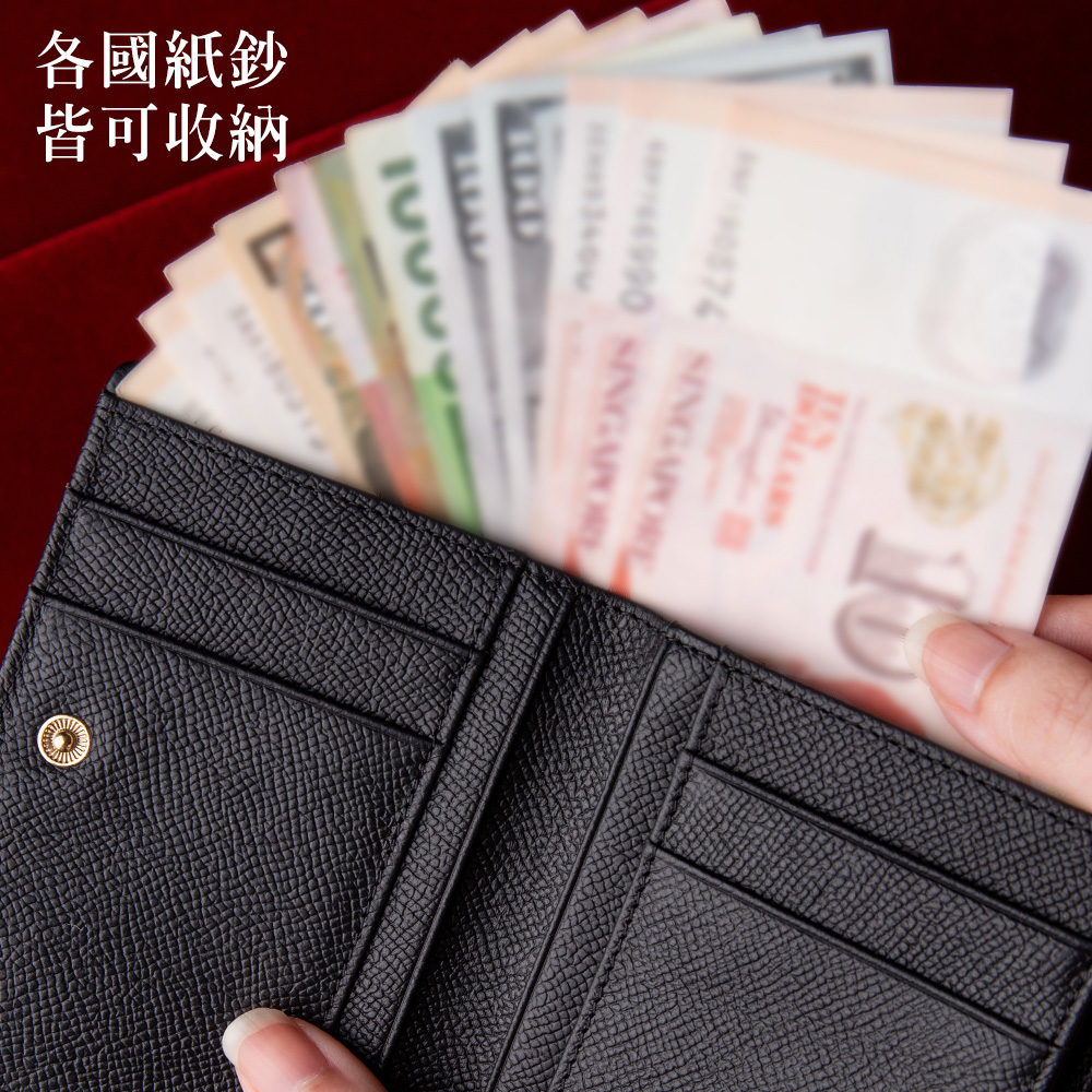 各國紙鈔 皆可收納 