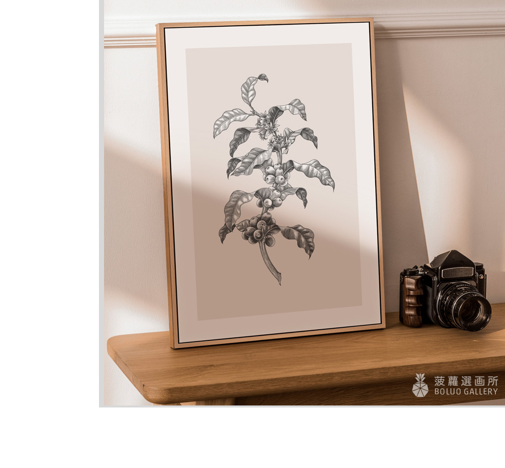 菠蘿選畫所 復古插畫 – 咖啡豆II - 30x40cm(咖
