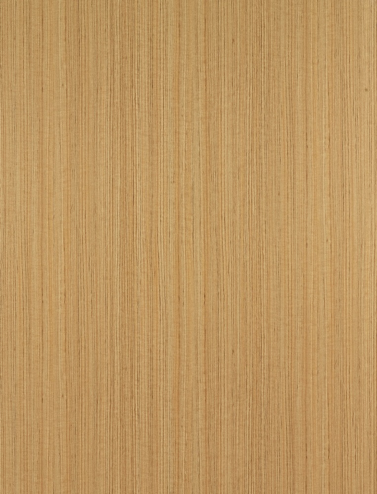 MUNA 家居 艾麗絲3尺餐桌/大/不含椅(桌子 餐桌 休閒