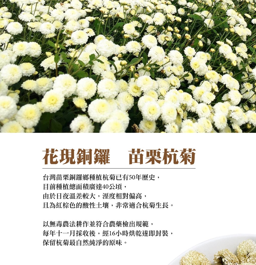 每年十一月採收後,經16小時烘乾遂即封裝,