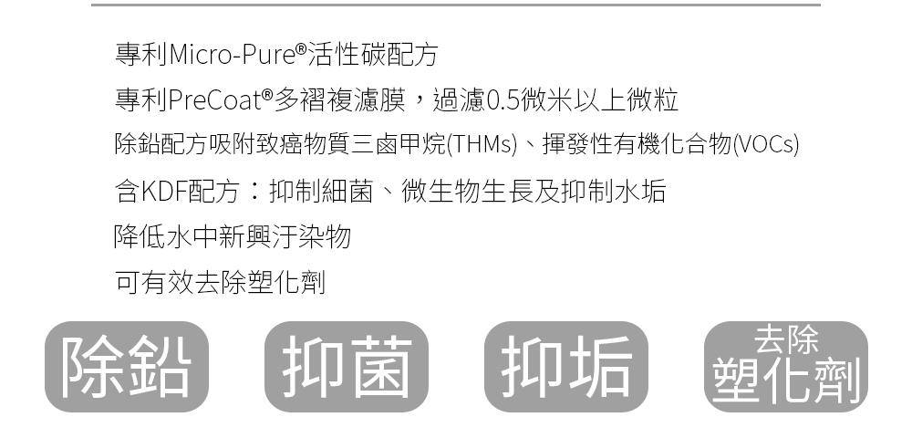 EVERPURE 濾心 H300NXT(2入組)折扣推薦