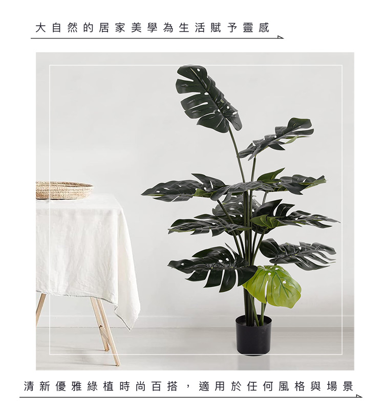 大自然的居家美學為生活賦予靈感 清新優雅綠植時尚百搭,適用於任何風格與場景 