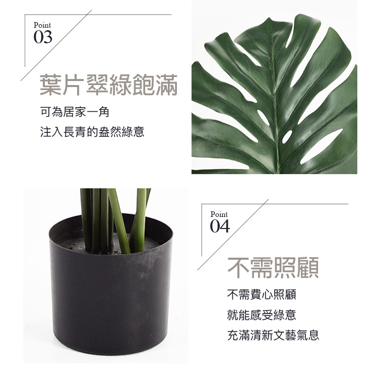 注入長青的盎然綠意