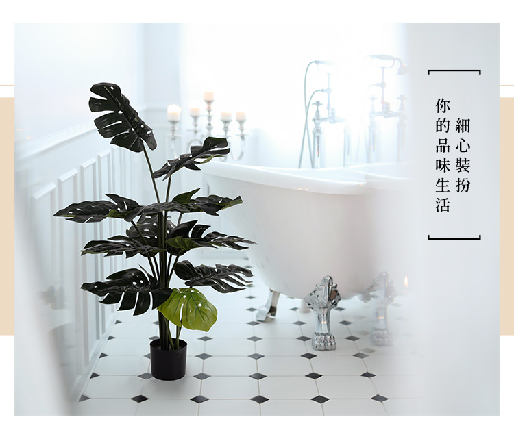細心裝扮 你的品味生活 