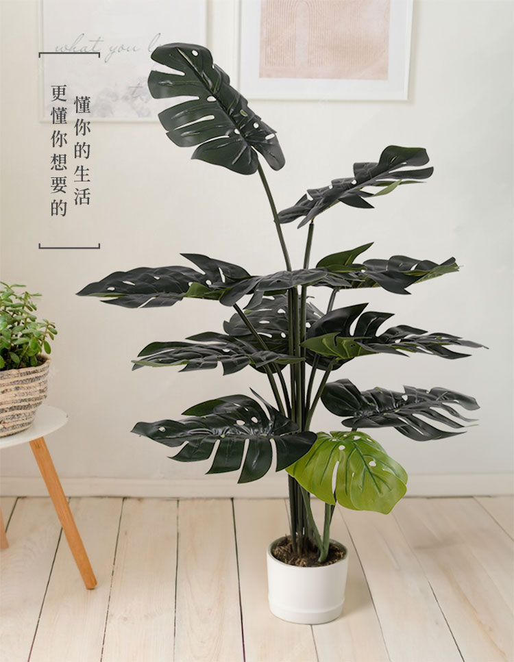懂你的生活 更懂你想要的 