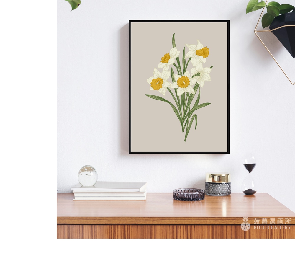 菠蘿選畫所 綻放的水仙花 - 50x70cm(花卉掛畫/客廳