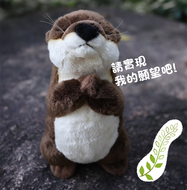 è«å¯¦ç¾ æçé¡æå§ 