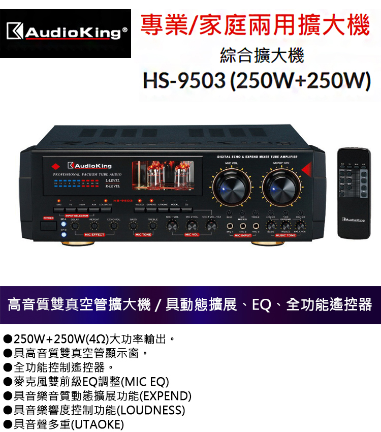 AudioKing HS-9503 綜合擴大機(專業/家庭兩