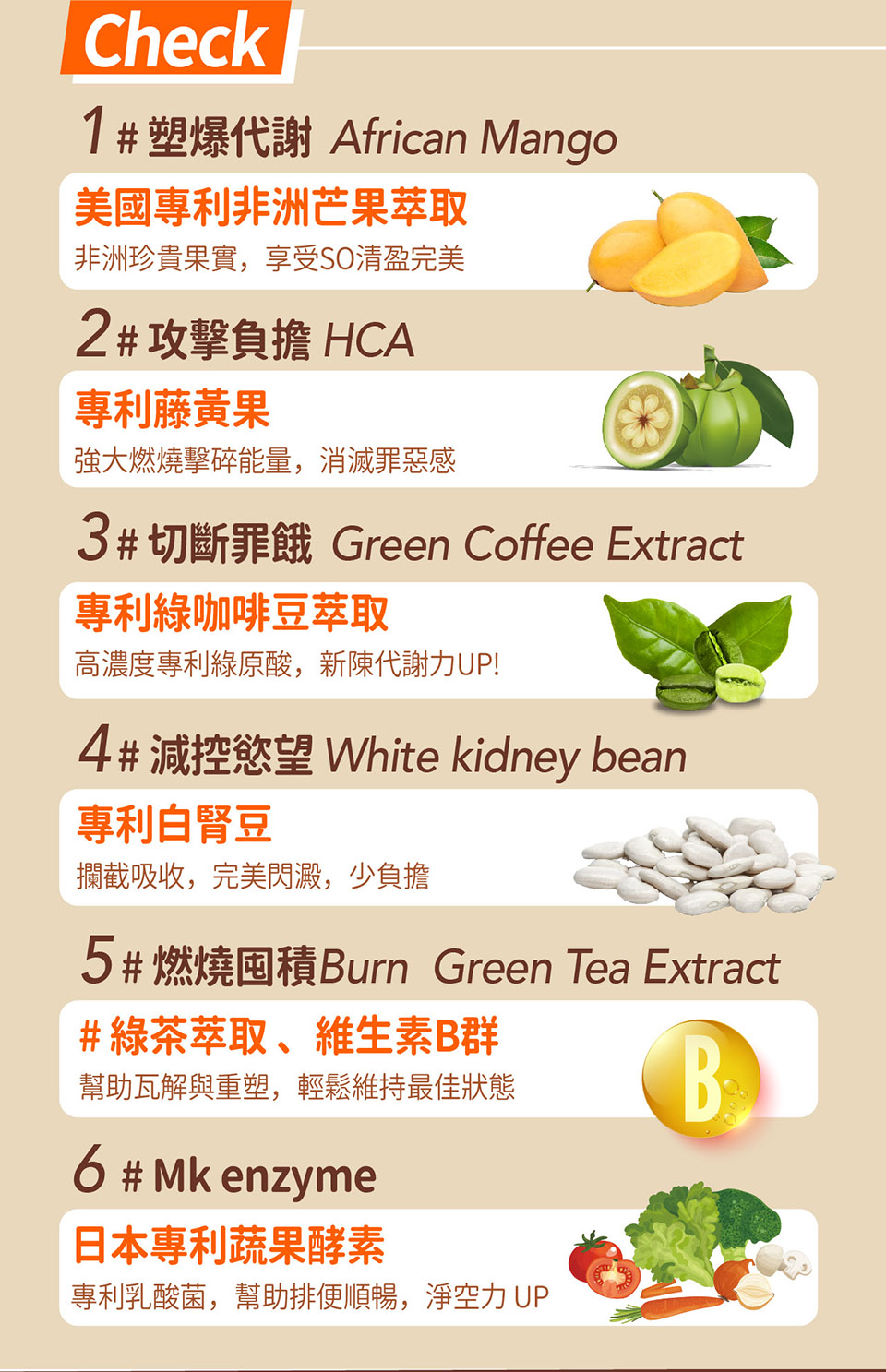 5燃燒囤積Burn Green Tea Extract