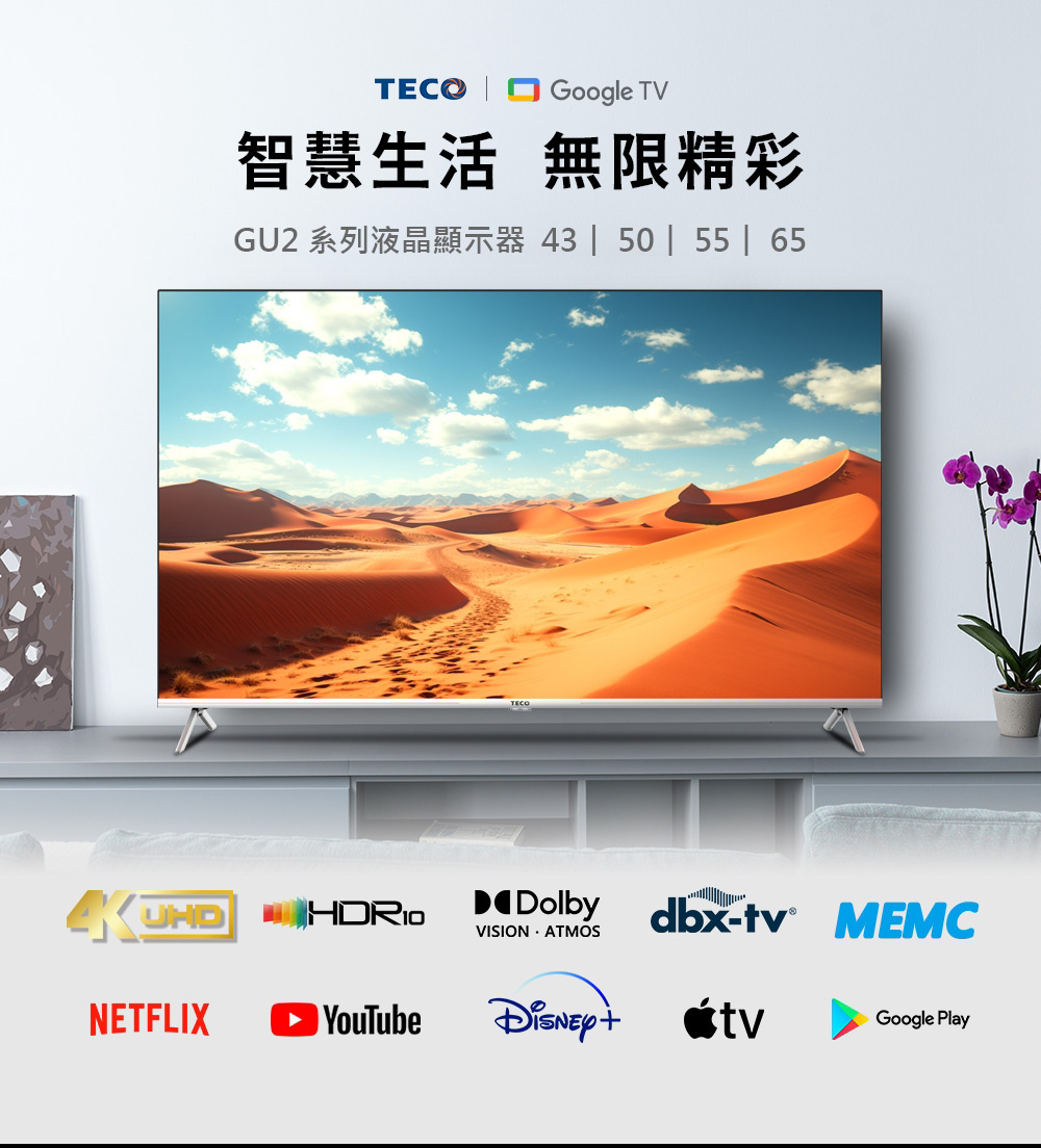 TECO 東元 43型 4K+Android液晶顯示器_不含