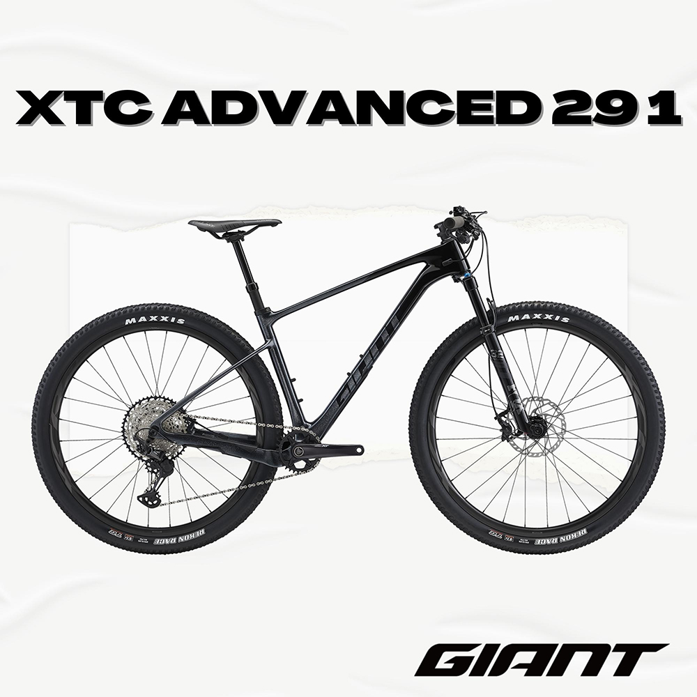 GIANT XTC ADVANCED 29 1 登山自行車 