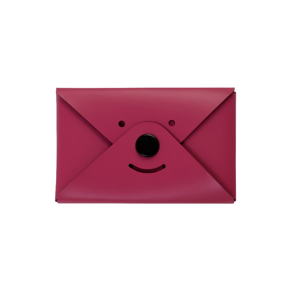 台隆手創館 福利品 日本製造型名片收納夾-30枚(名片夾)好