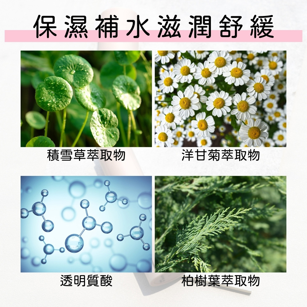 卡芮亞 MERYTHOD 零毛孔妝前打底膏 10g(韓國 熱