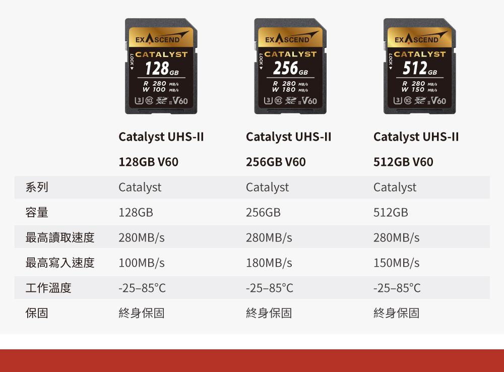 Exascend Catalyst V60 高速SD記憶卡 