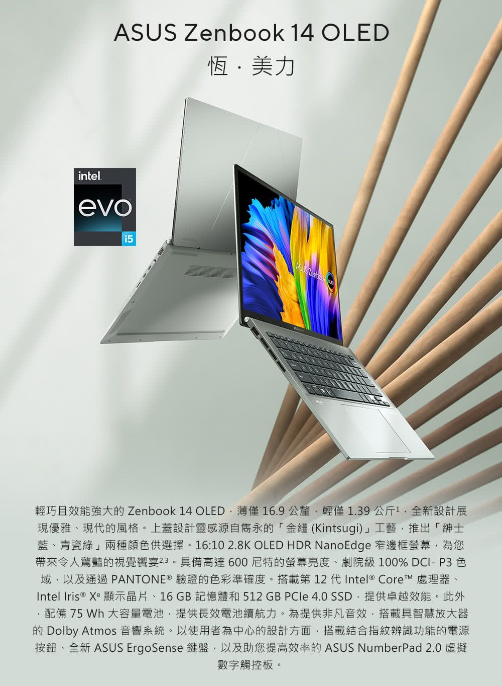 ASUS 1TB外接SSD組★14吋i5輕薄筆電(ZenBo