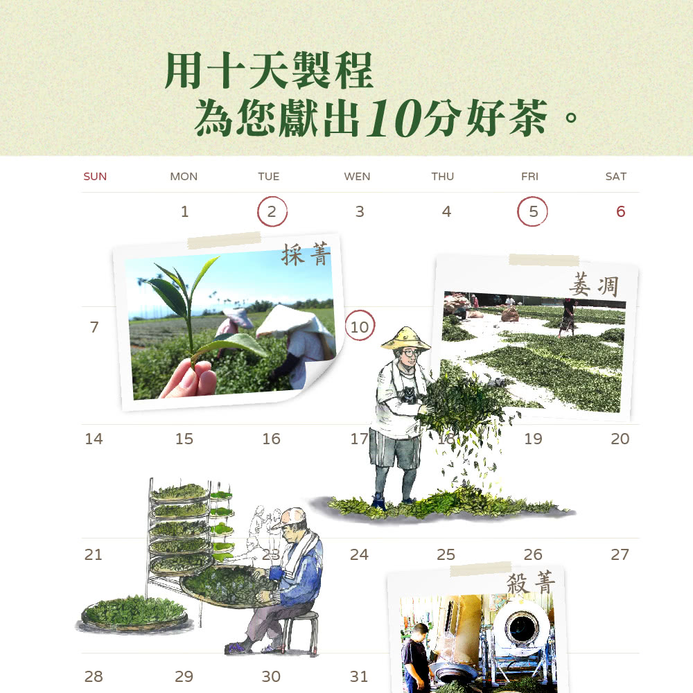 用十天製程 為您獻出10分好茶。 採菁 萎凋 殺菁 
