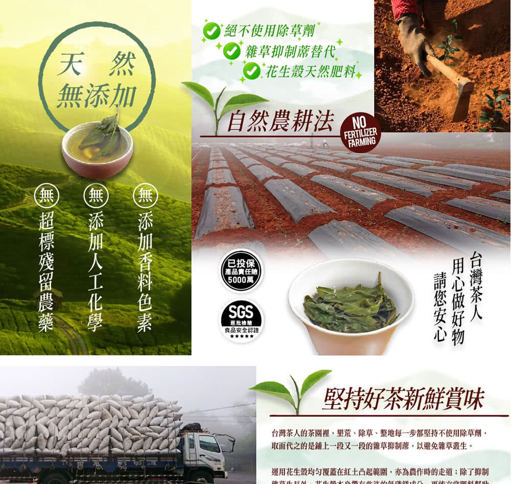 台灣茶人的茶園裡,墾荒、除草、整地每一步都堅持不使用除草劑,