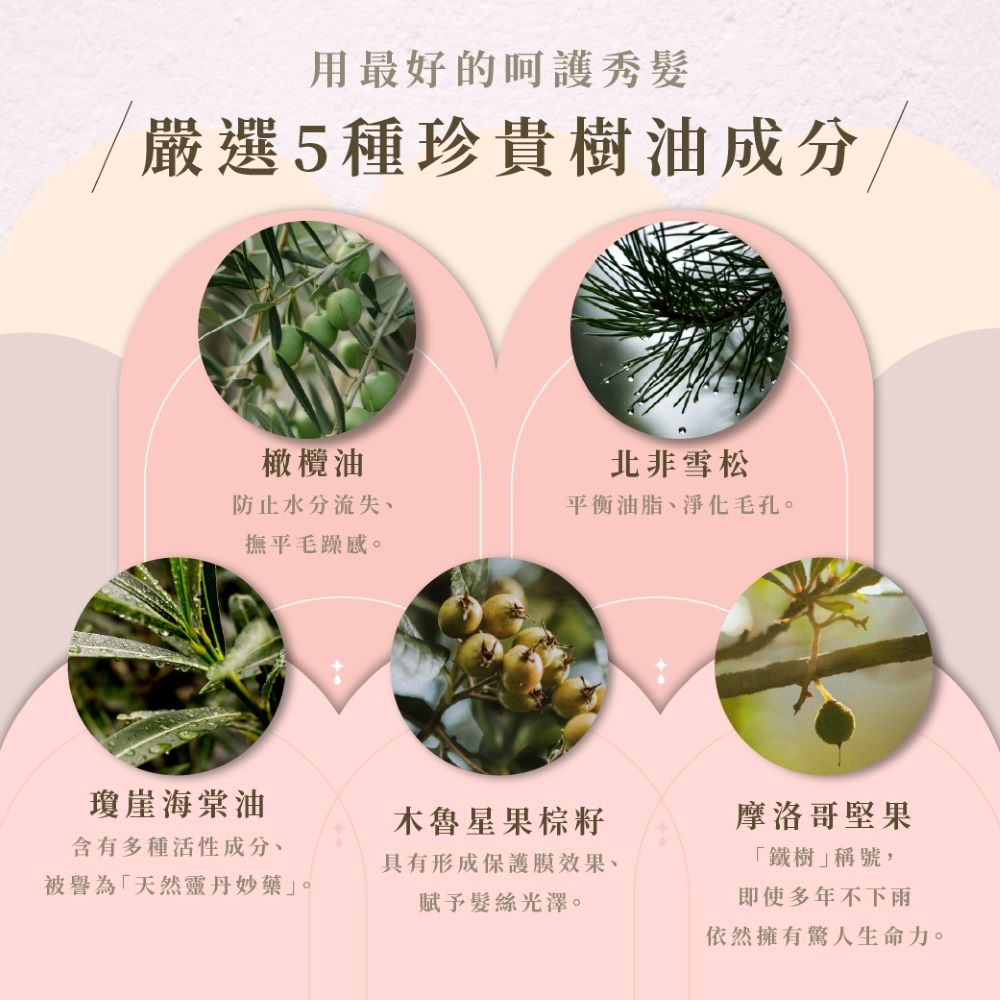 嚴選5種珍貴樹油成分