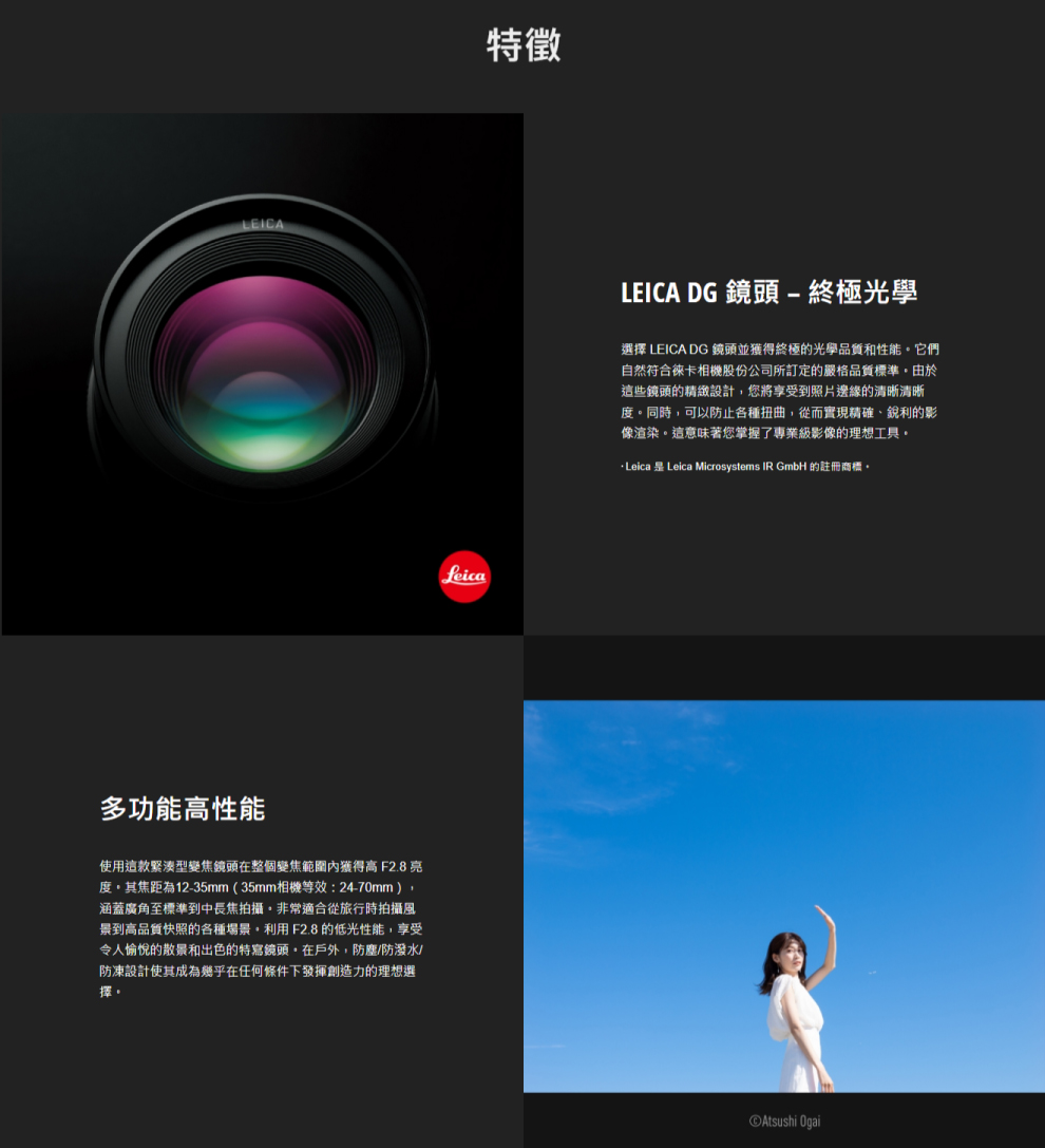 Panasonic 國際牌 LEICA DG VARIO-E